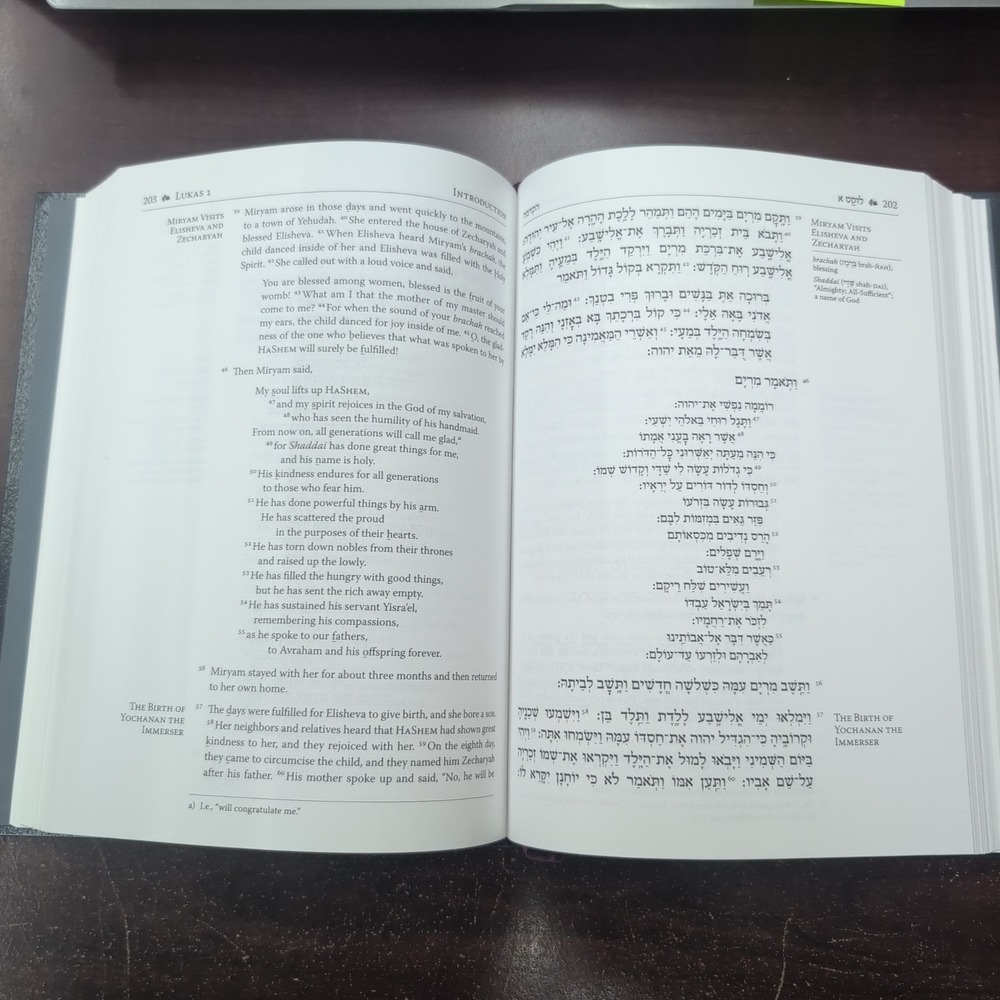 The Delitzsch Hebrew Gospels Hebrew English Translation w/ Christian Guide Book - Picture 3 of 3